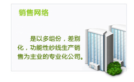 销售网络