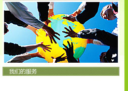 我们的服务