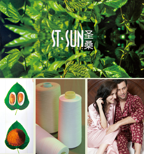 ��ʥɣ��ɣ��Ӽ������ά��Ʒ