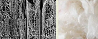 ��̿��άϵ�в�Ʒ